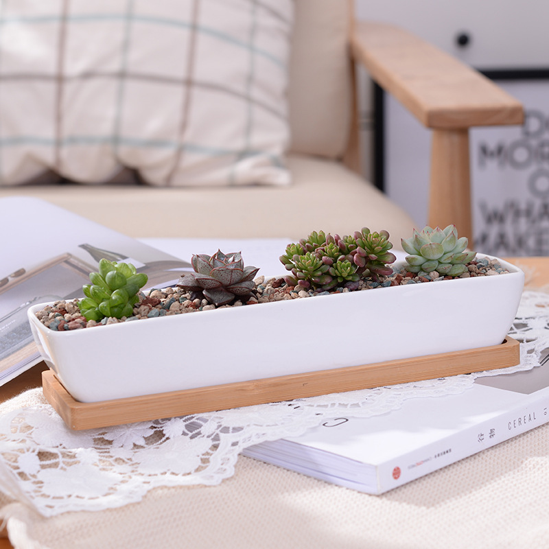 Desktop Organizer Bamboo - Langer rechteckiger, weißer Sukkulenten-Pflanztopf aus Keramik