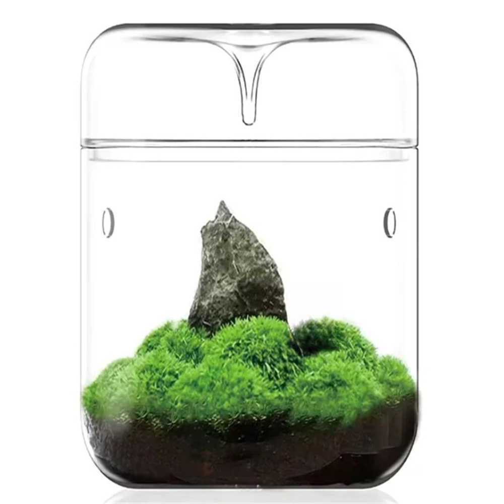 Desktop-Glas-Mikrolandschafts- – Home Office With View Bewertung und Preis